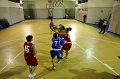 Basket 443116